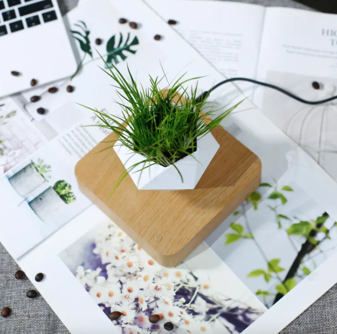 SkyPlanter™ – Magnetic Levitating Planter